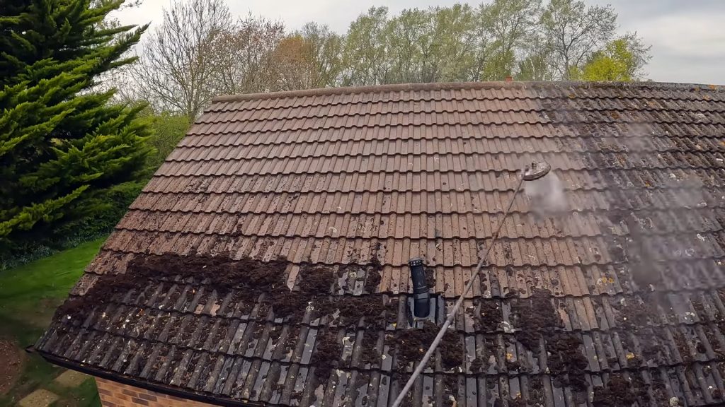 moss cleaning service